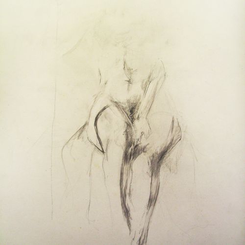 Etudes dessinées