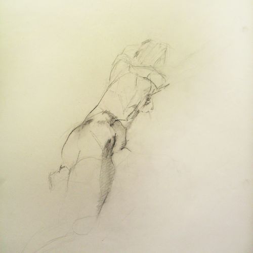 Etudes dessinées