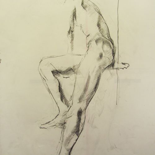Etudes dessinées