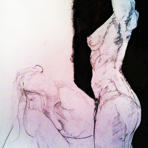 Etudes dessinées